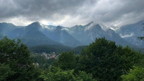 Ferien Chalet Buşteni